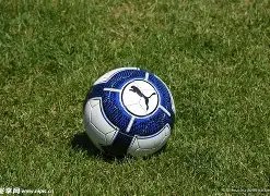 帕尔默双响,切尔西与少,一人伯恩利,米乐YY易游,M6,MiLe,米乐YY易游官网,米乐YY易游体育官网,米乐YY易游体育下载,米乐YY易游APP